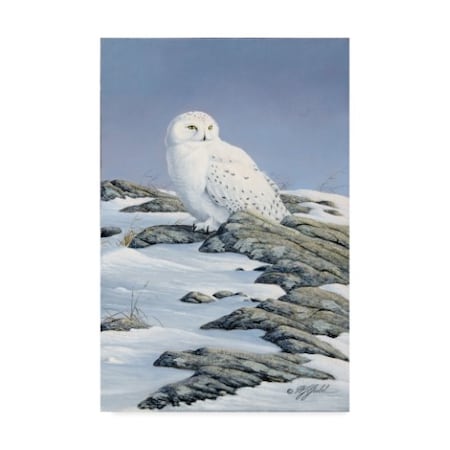 Wilhelm Goebel 'Snowy Owl' Canvas Art,30x47